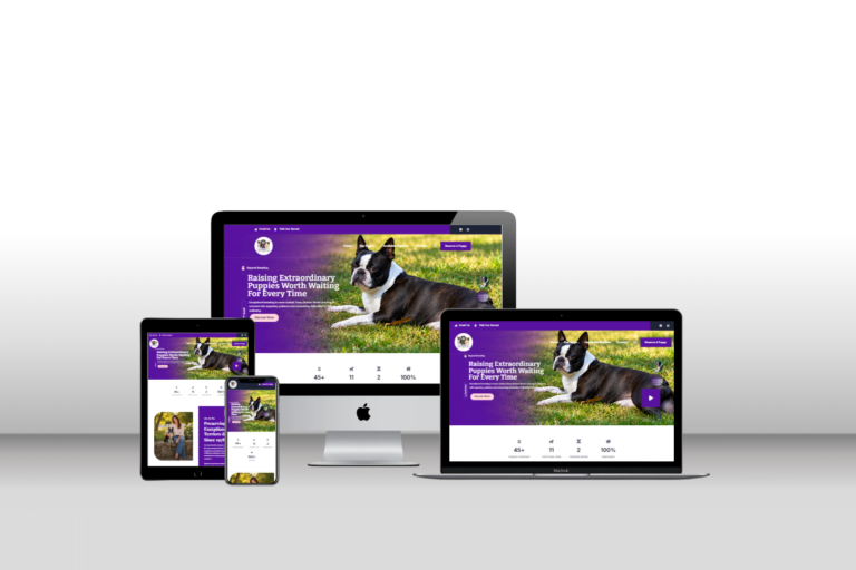 Romati Bostons Kennels – Boston Terrier Breeder Website, North Dartmouth, Massachusetts